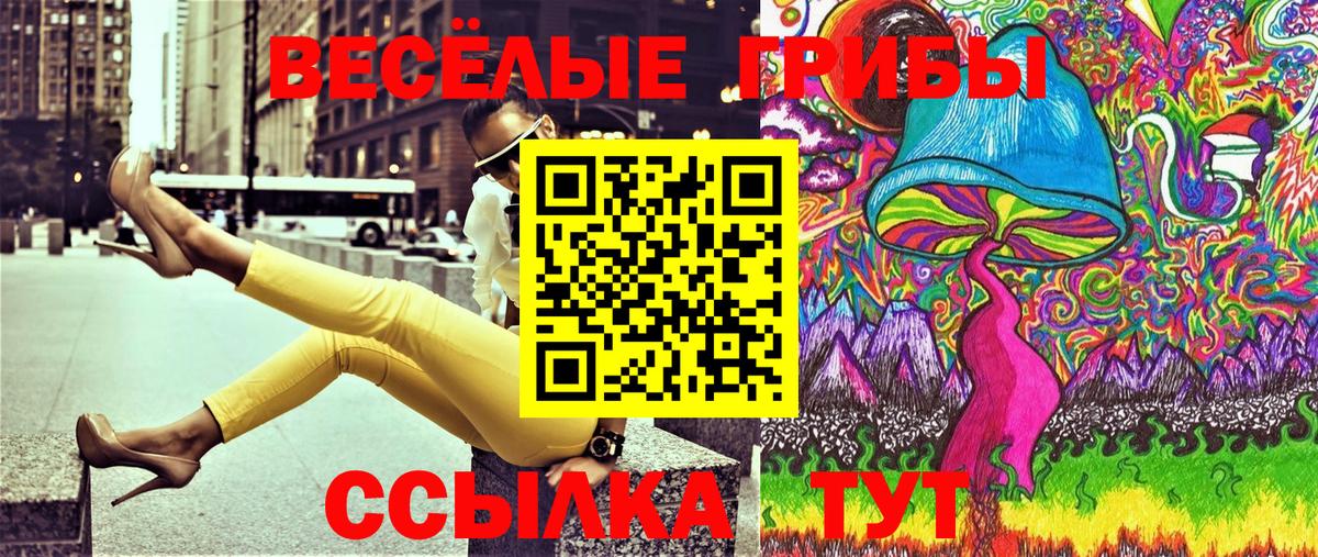 Котлас  Галлюциногенные грибы Psilocybe  Вход с VPN 